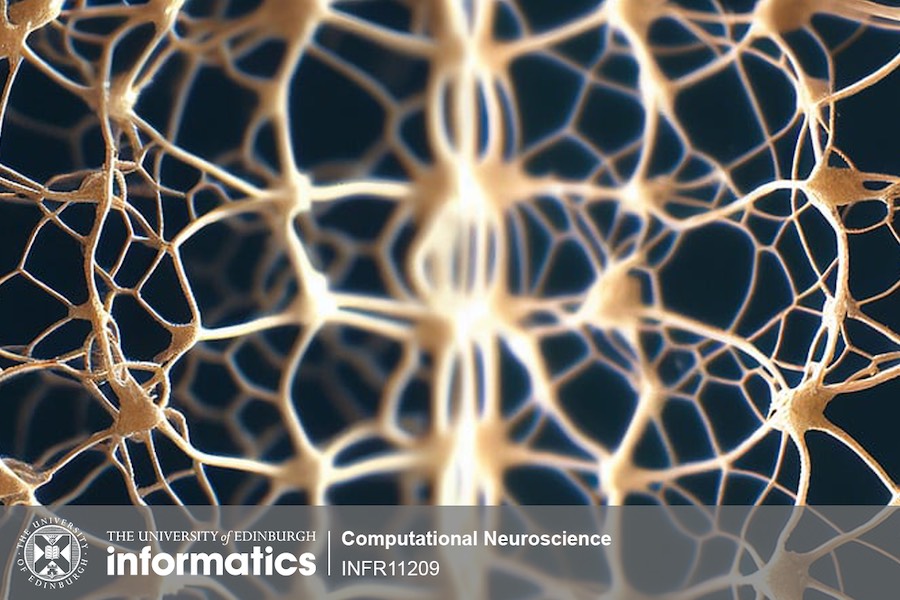 Decorative image for Computational Neuroscience