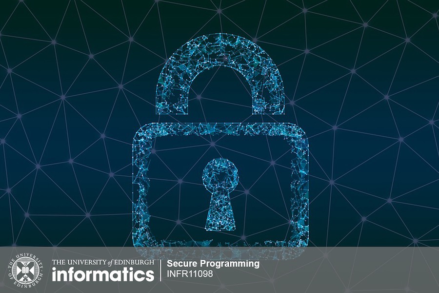 Decorative image for Secure Programming